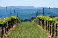 Chaine des Rotisseurs 2012 Societe Mondiale du Vin Napa CA May 3-5